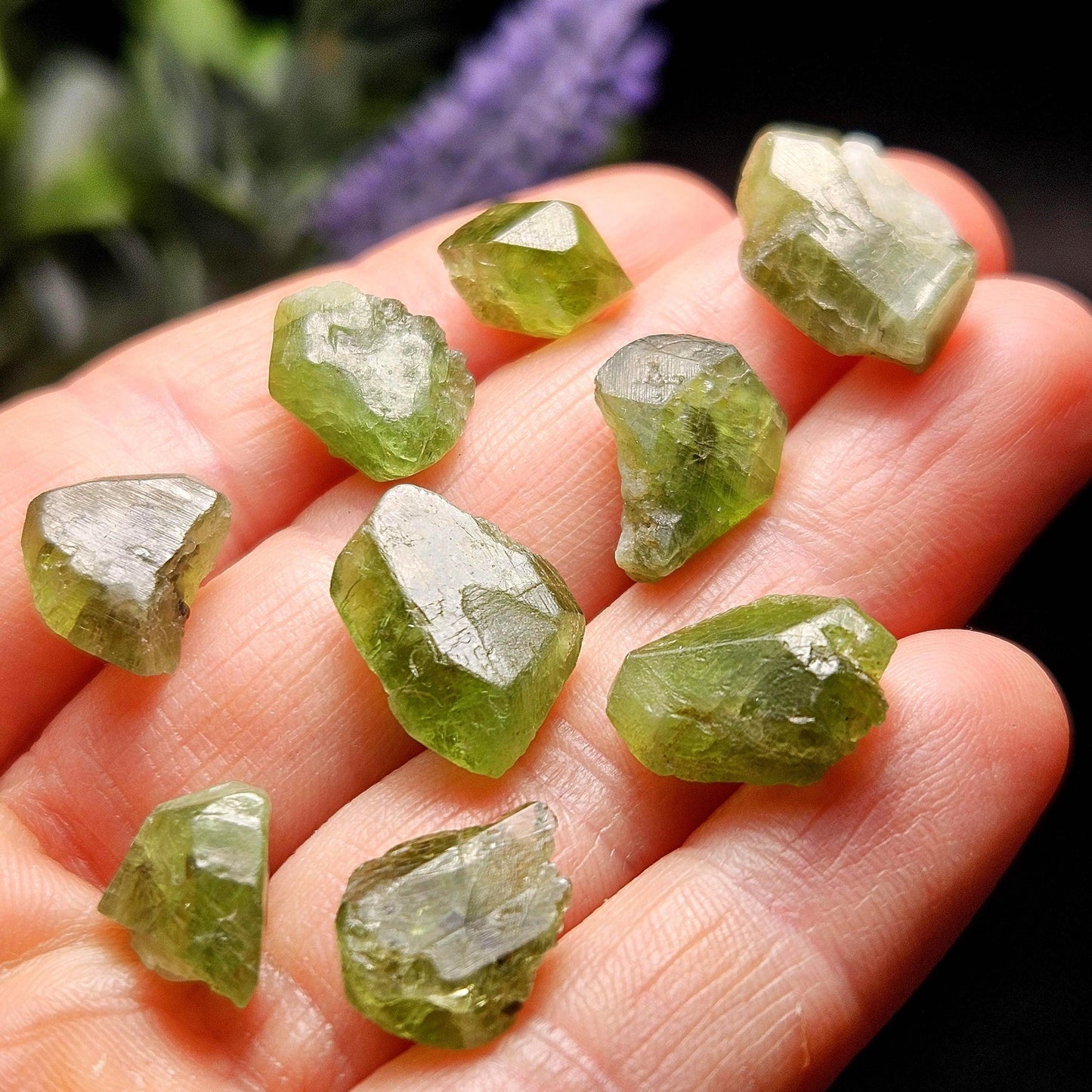 Terminated Chrome Diopside Crystal, Green Alpine Diopside Specimen