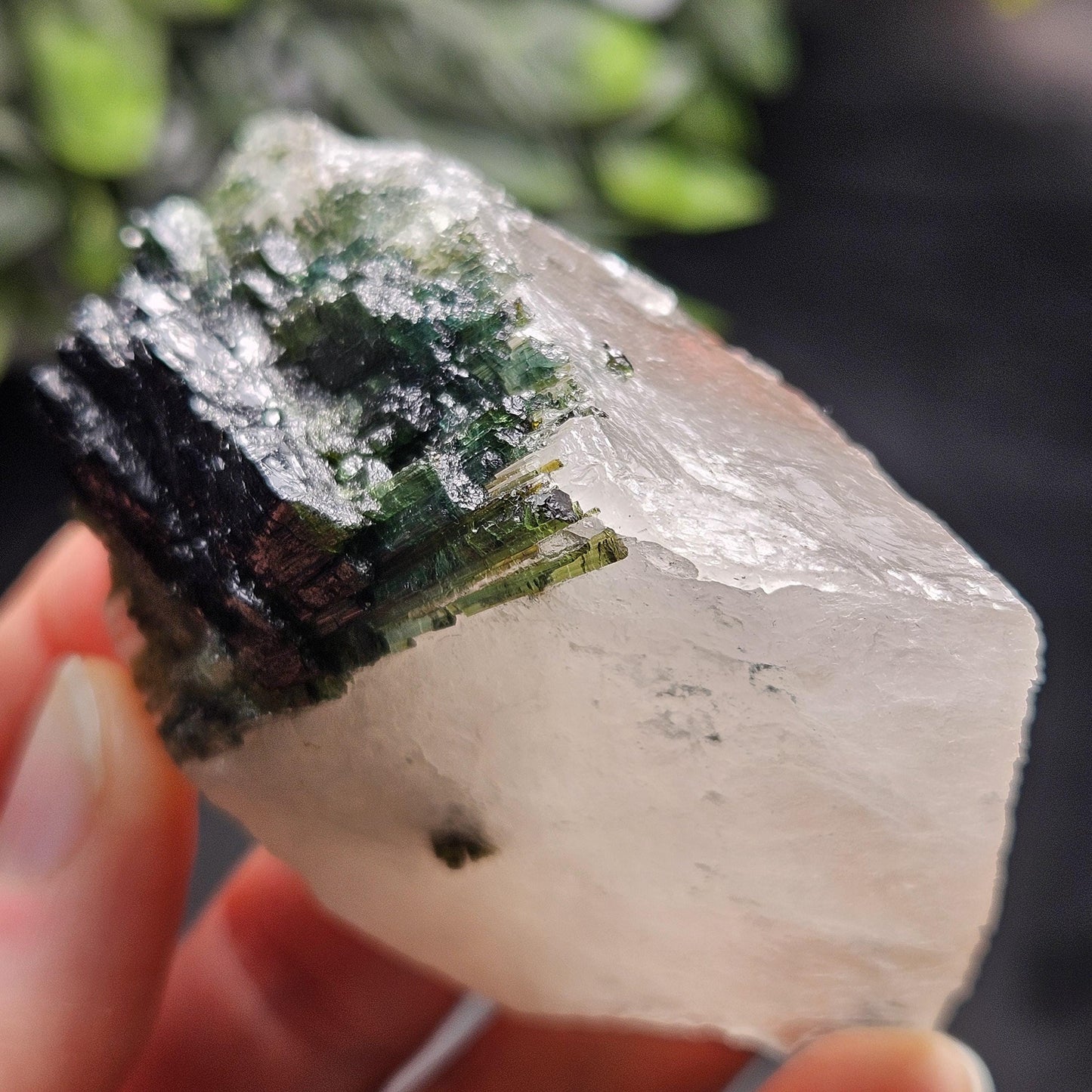Green Tourmaline in Quartz Crystal 113.89g, Brazilian Quartz with Tourmaline, Green Tourmaline Specimen, Tourmaline Crystal