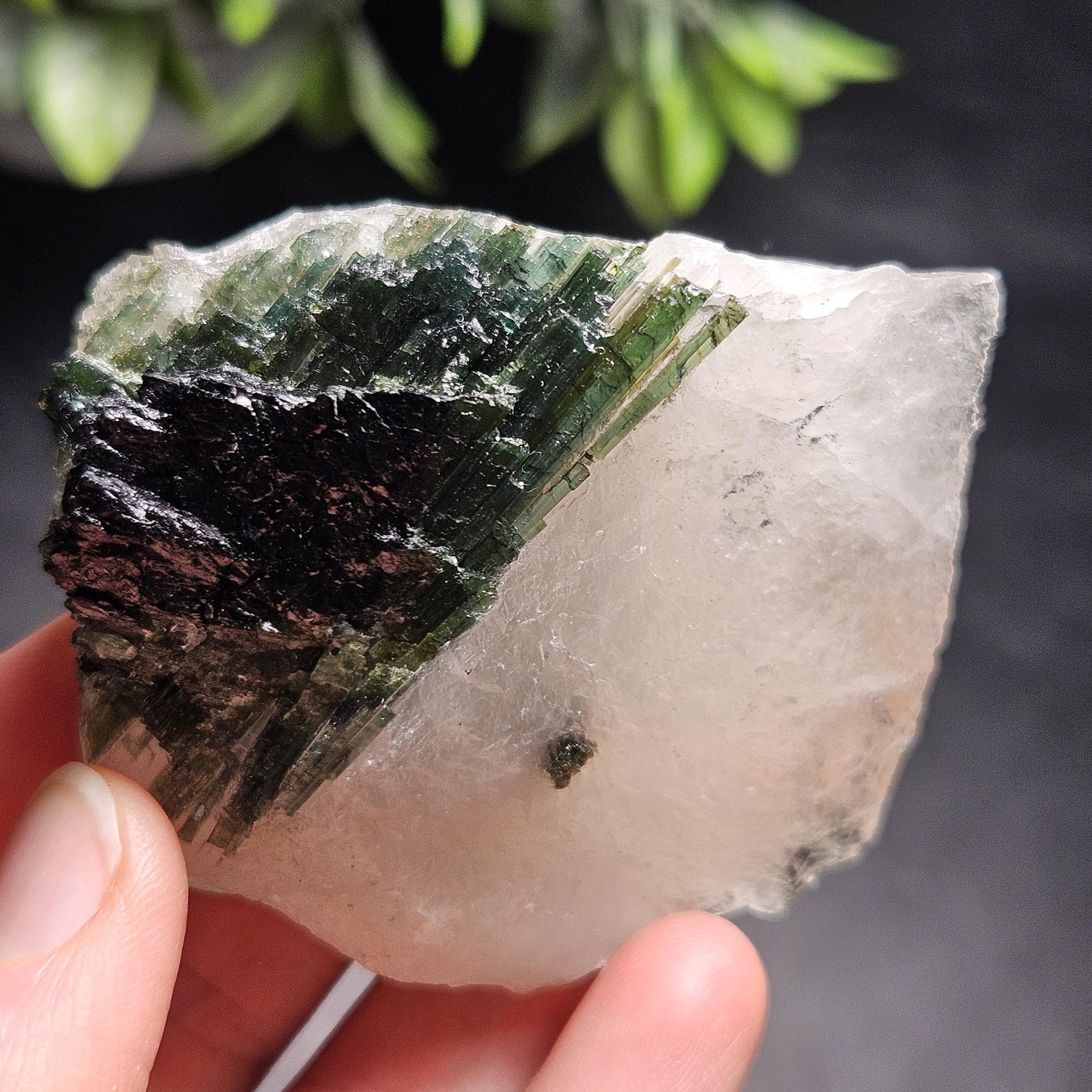 Green Tourmaline in Quartz Crystal 113.89g, Brazilian Quartz with Tourmaline, Green Tourmaline Specimen, Tourmaline Crystal
