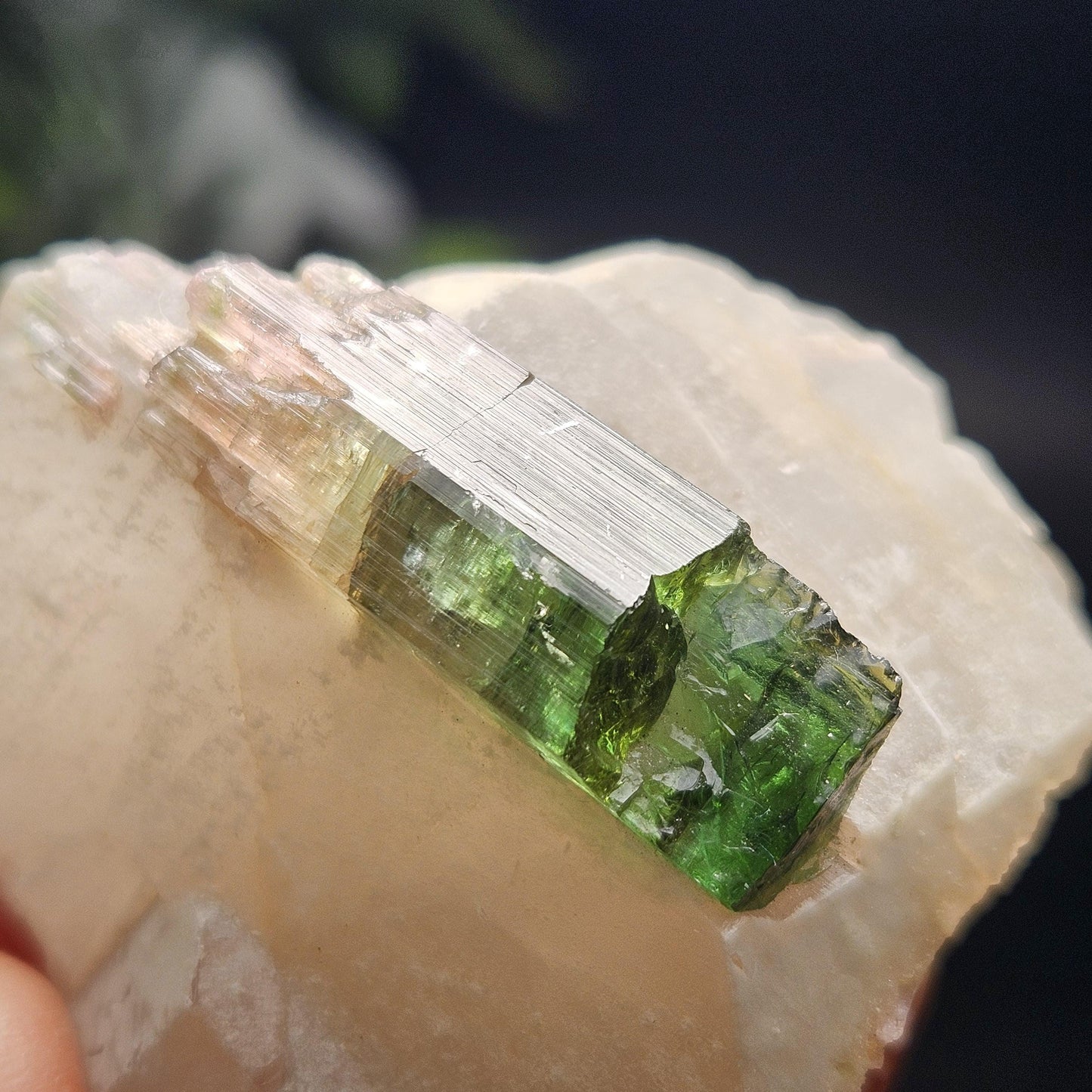 Watermelon Tourmaline on Quartz 53.32g