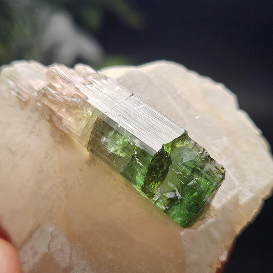 Watermelon Tourmaline on Quartz 53.32g