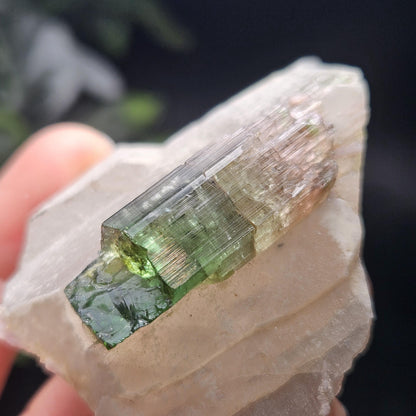 Watermelon Tourmaline on Quartz 53.32g