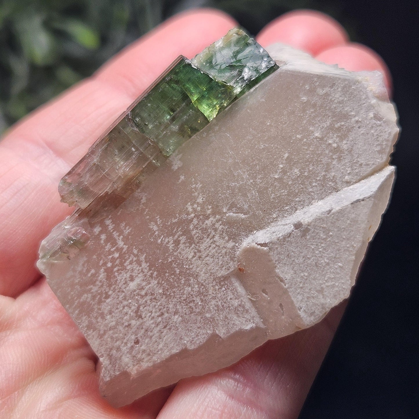 Watermelon Tourmaline on Quartz 53.32g