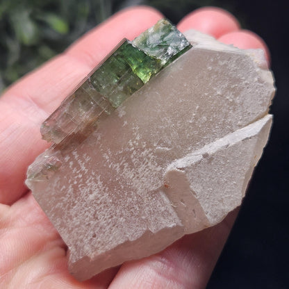 Watermelon Tourmaline on Quartz 53.32g
