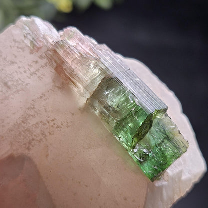 Watermelon Tourmaline on Quartz 53.32g