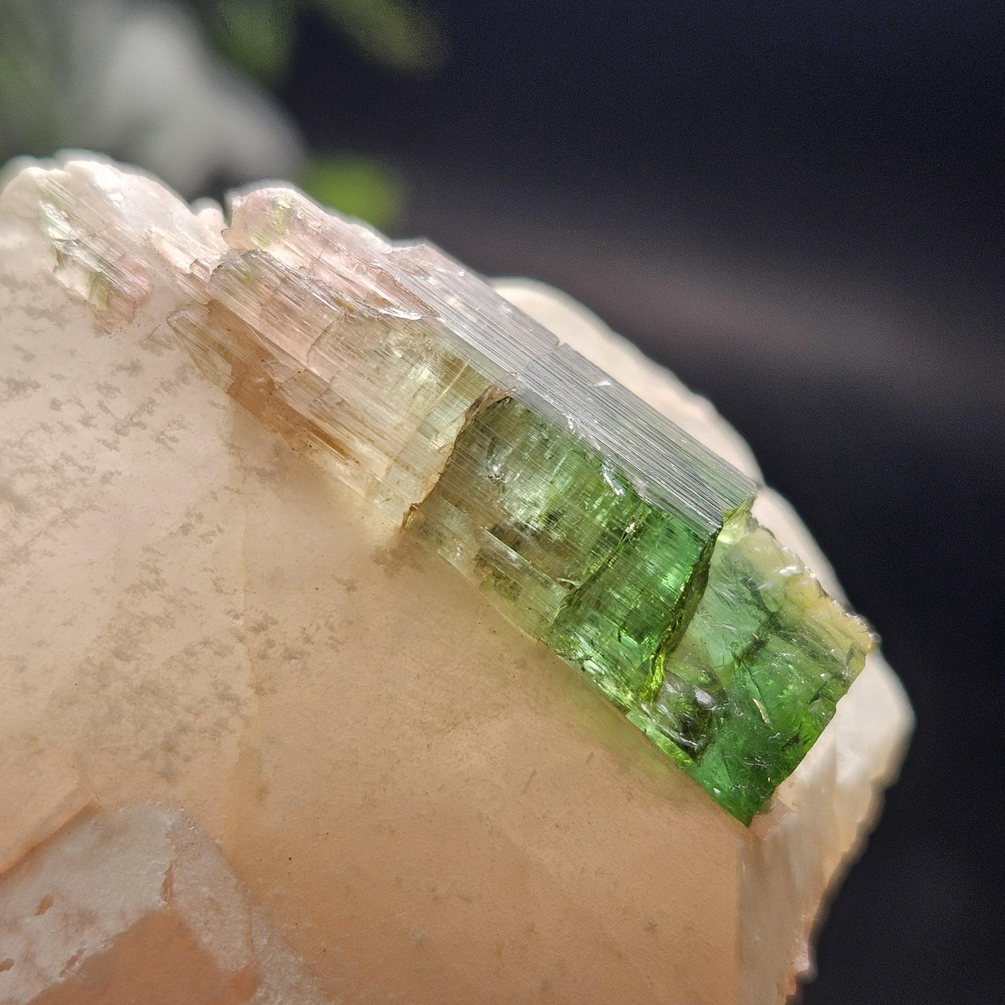 Watermelon Tourmaline on Quartz 53.32g