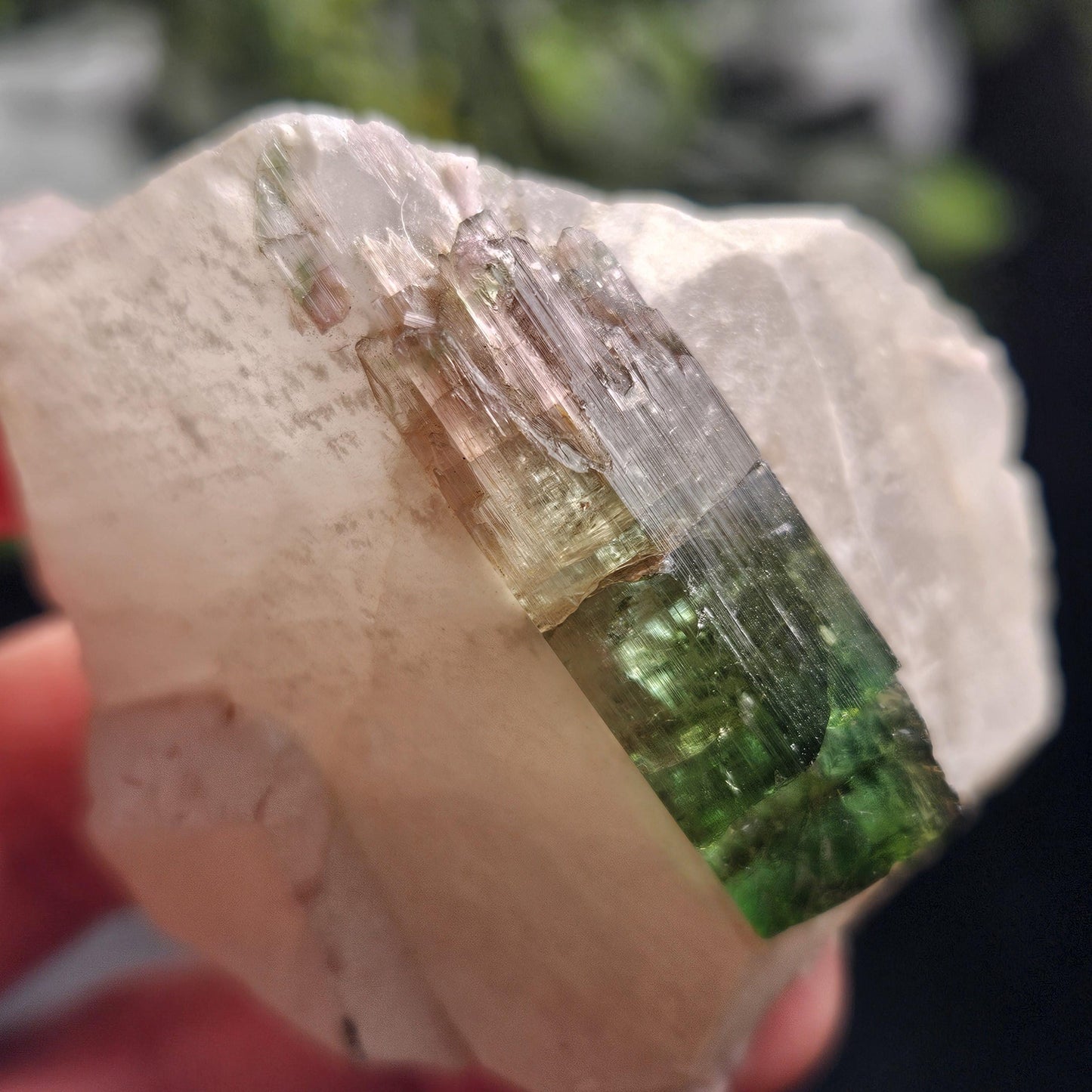 Watermelon Tourmaline on Quartz 53.32g