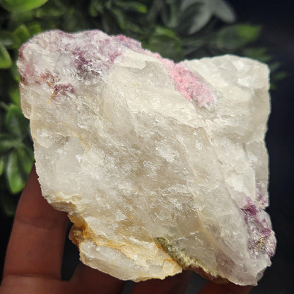 Pink Tourmaline in Lepidolite & Quartz from Brazil 293g, Watermelon Tourmaline, Raw Brazilian Tourmaline Specimen, Lepidolite Crystal