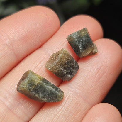Bicolor Sapphire Crystal, BLUE & GOLD Raw Hexagonal Prism Madagascar Bicolored Sapphire Specimen