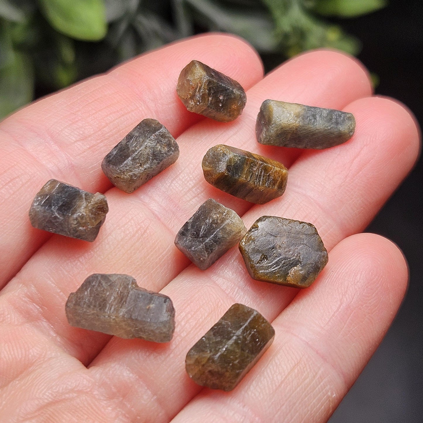 Bicolor Sapphire Crystal, BLUE & GOLD Raw Hexagonal Prism Madagascar Bicolored Sapphire Specimen