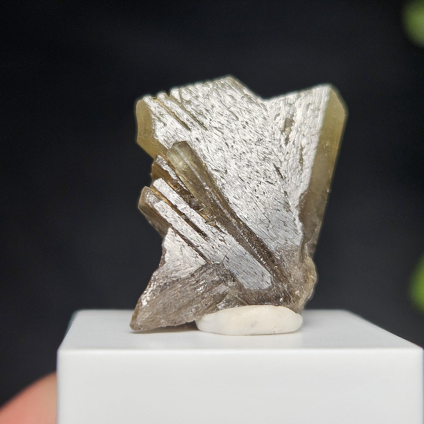 Twinned Bicolor Chrysoberyl Specimen 16.43ct, RARE Yellow Twin Chrysoberyl Crystal