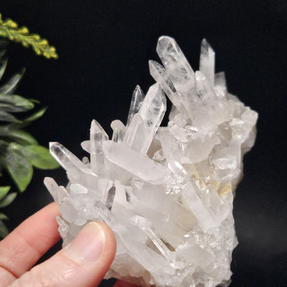 Arkansas Quartz Crystal Cluster, 249.34 grams