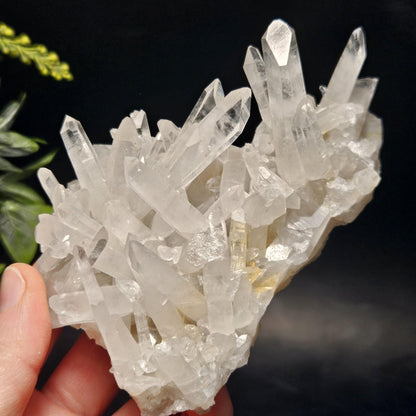 Arkansas Quartz Crystal Cluster, 249.34 grams
