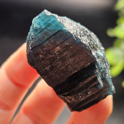 Blue Tourmaline Crystal 47.67g, Indicolite Specimen from Brazil, Blue Indicolite Crystal, Bicolor Tourmaline