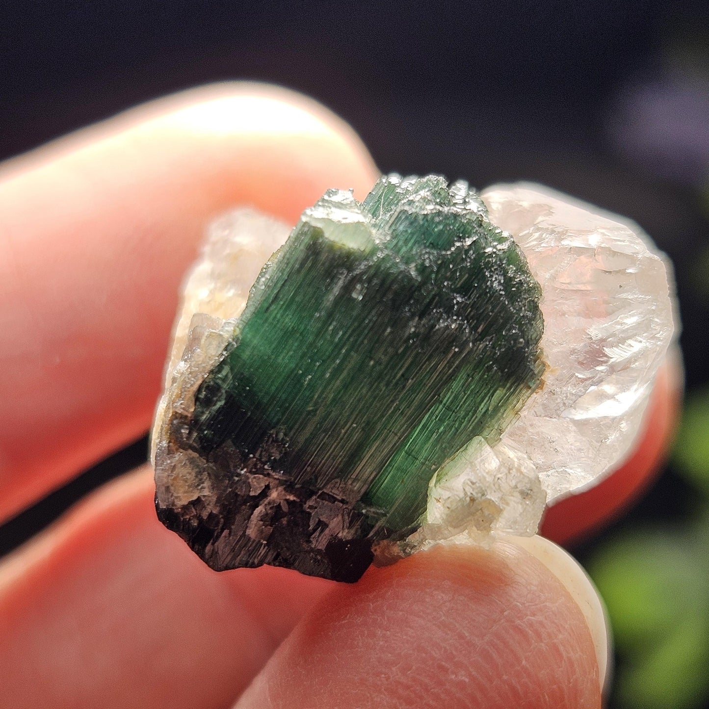 Green Tourmaline on Quartz Crystal 7.94g, Terminated Specimen from Brazil, Teal Blue Tourmaline and Quartz