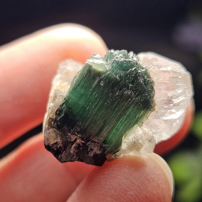 Green Tourmaline on Quartz Crystal 7.94g, Terminated Specimen from Brazil, Teal Blue Tourmaline and Quartz