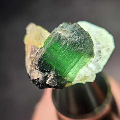 Green Tourmaline on Quartz Crystal 7.94g, Terminated Specimen from Brazil, Teal Blue Tourmaline and Quartz