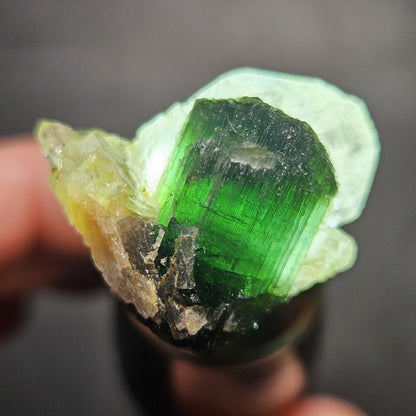 Green Tourmaline on Quartz Crystal 7.94g, Terminated Specimen from Brazil, Teal Blue Tourmaline and Quartz