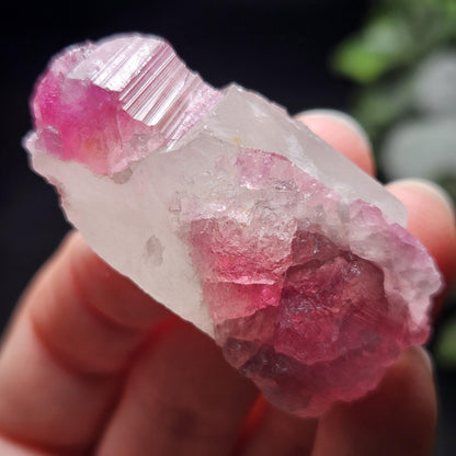 Pink Watermelon Tourmaline in Quartz from Brazil 29.64g, Raw Brazilian Tourmaline Specimen, Pink Tourmaline Crystal
