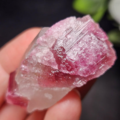 Pink Watermelon Tourmaline in Quartz from Brazil 29.64g, Raw Brazilian Tourmaline Specimen, Pink Tourmaline Crystal