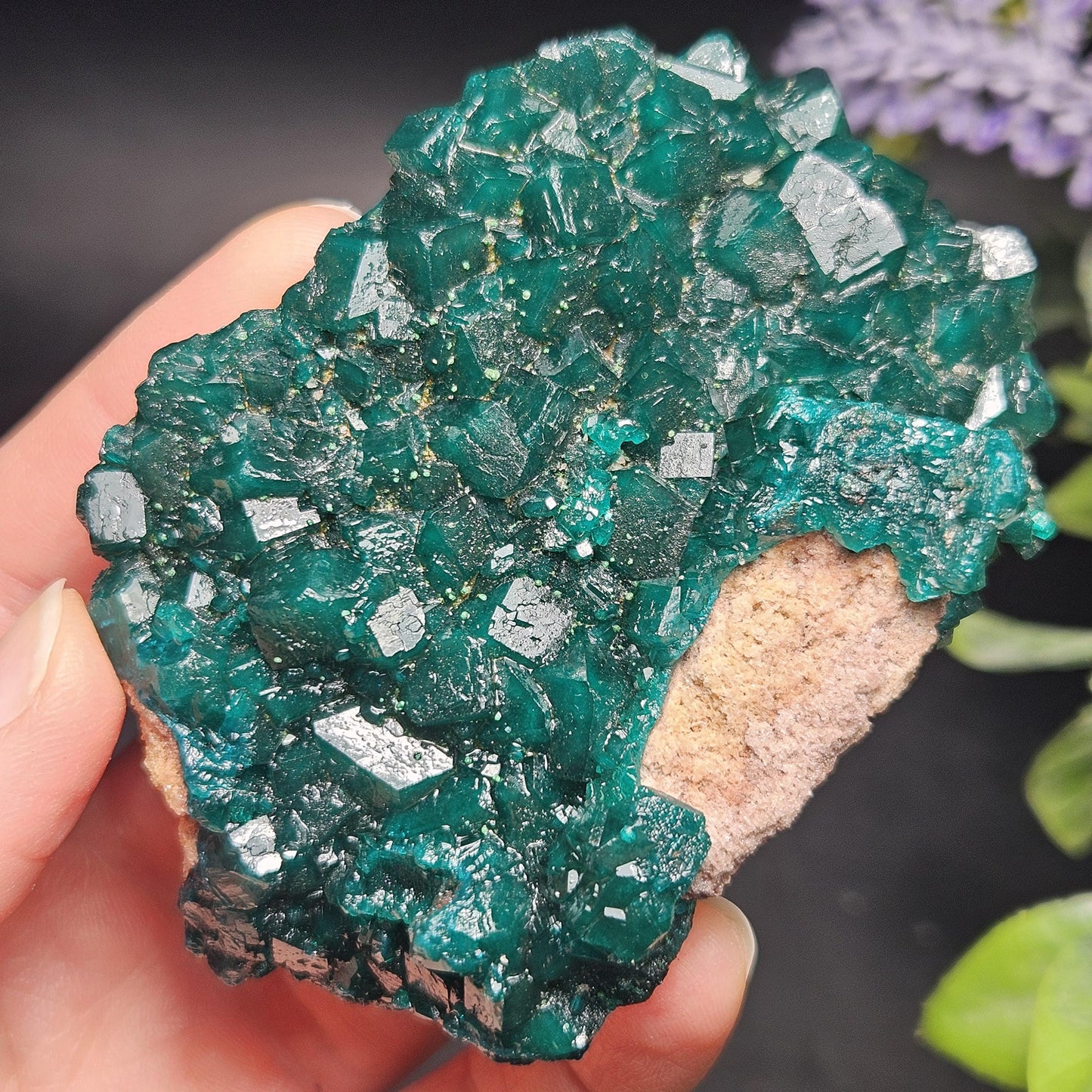 Dioptase Cluster Specimen from Congo 115g