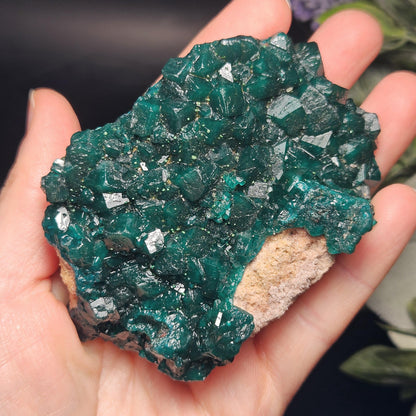 Dioptase Cluster Specimen from Congo 115g