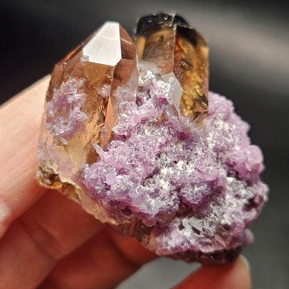 Smoky Quartz on Lepidolite Crystal Specimen from Brazil 51.0g, Smoky Crystal Point, Lepidolite Cluster, Terminated Smoky Quartz