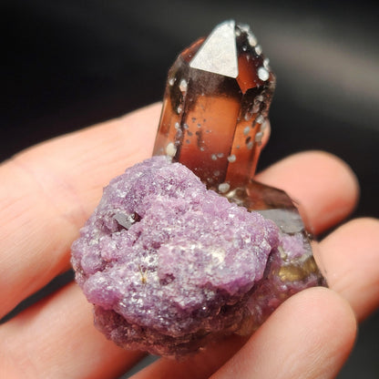 Smoky Quartz on Lepidolite Crystal Specimen from Brazil 51.0g, Smoky Crystal Point, Lepidolite Cluster, Terminated Smoky Quartz