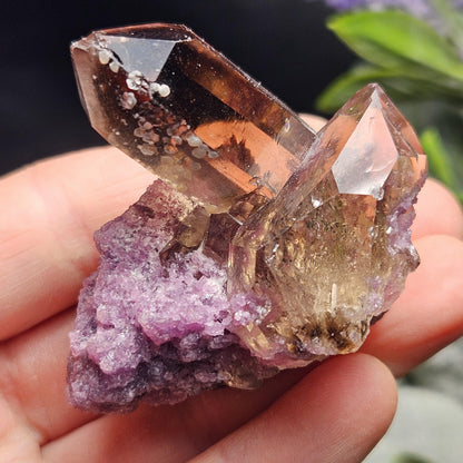 Smoky Quartz on Lepidolite Crystal Specimen from Brazil 51.0g, Smoky Crystal Point, Lepidolite Cluster, Terminated Smoky Quartz
