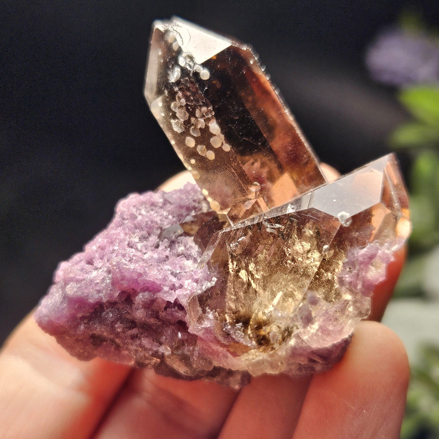Smoky Quartz on Lepidolite Crystal Specimen from Brazil 51.0g, Smoky Crystal Point, Lepidolite Cluster, Terminated Smoky Quartz