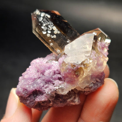 Smoky Quartz on Lepidolite Crystal Specimen from Brazil 51.0g, Smoky Crystal Point, Lepidolite Cluster, Terminated Smoky Quartz