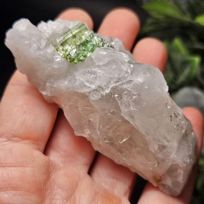 Green Tourmaline in Quartz Crystal 76.77g, Brazilian Quartz with Tourmaline, Green Tourmaline Specimen, Tourmaline in Quartz Crystal