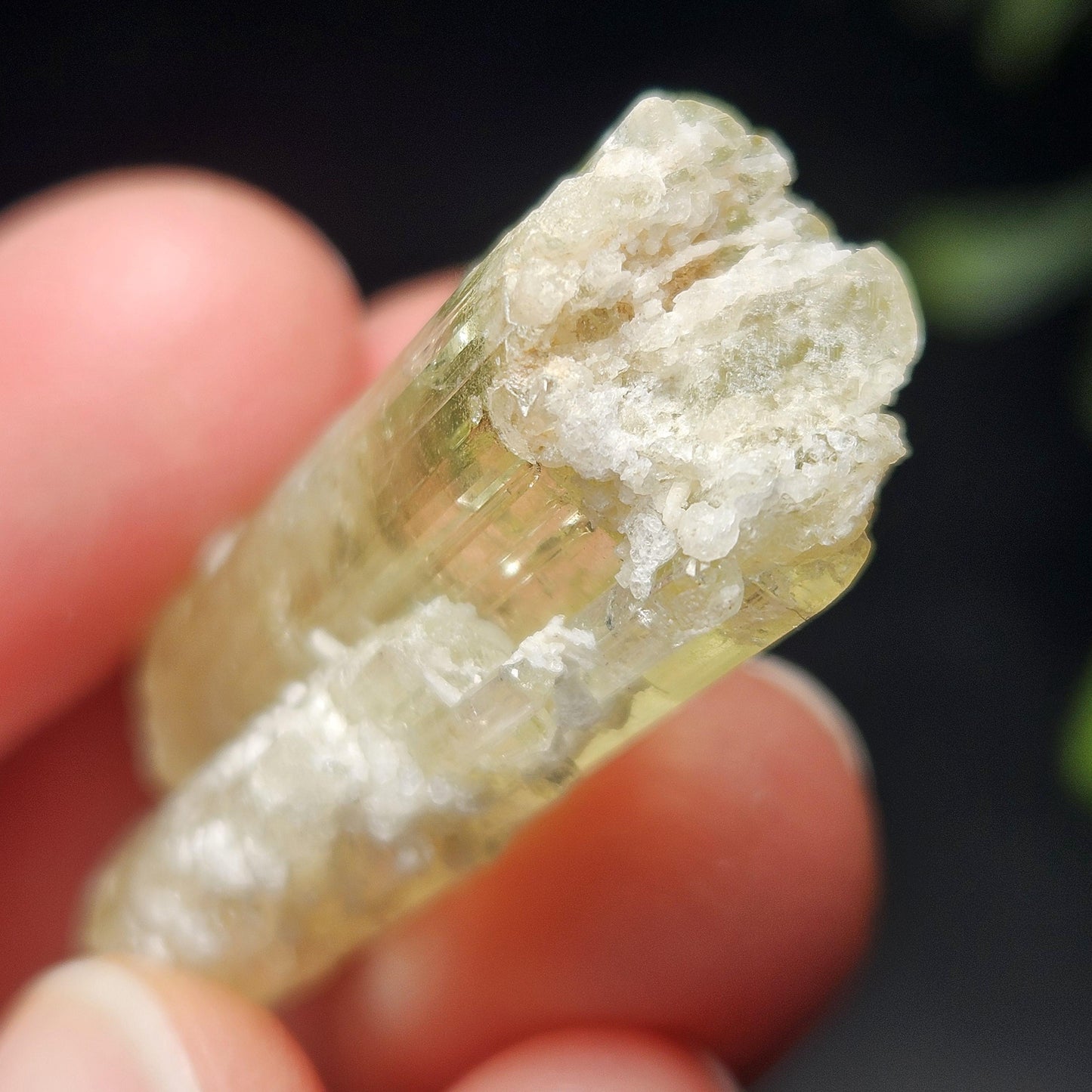 Terminated Heliodor Crystal 11.8g, AAA Golden Beryl