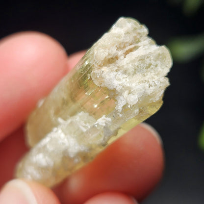 Terminated Heliodor Crystal 11.8g, AAA Golden Beryl