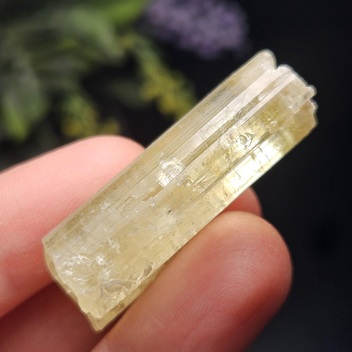 Terminated Heliodor Crystal 11.8g, AAA Golden Beryl
