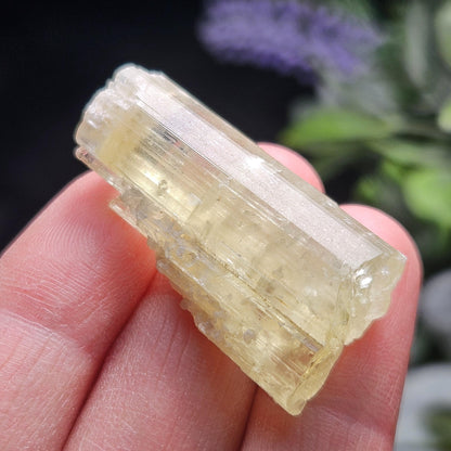 Terminated Heliodor Crystal 11.8g, AAA Golden Beryl