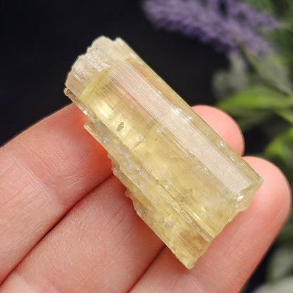 Terminated Heliodor Crystal 11.8g, AAA Golden Beryl