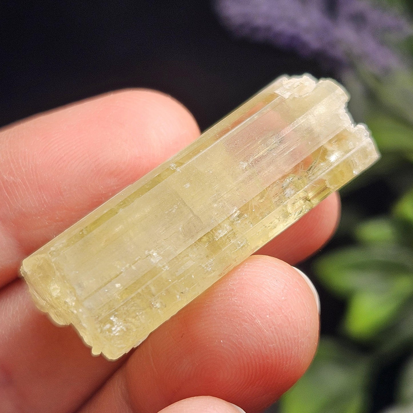 Terminated Heliodor Crystal 11.8g, AAA Golden Beryl