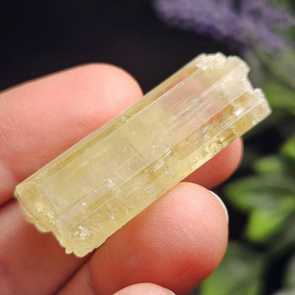 Terminated Heliodor Crystal 11.8g, AAA Golden Beryl