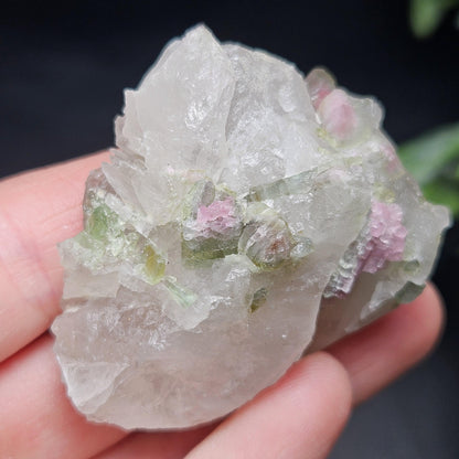 Watermelon Tourmaline on Quartz 50.28g