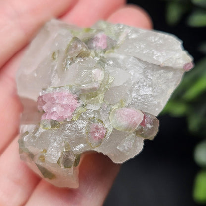 Watermelon Tourmaline on Quartz 50.28g