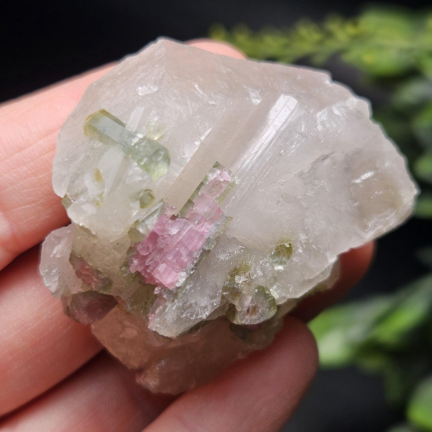 Watermelon Tourmaline on Quartz 50.28g