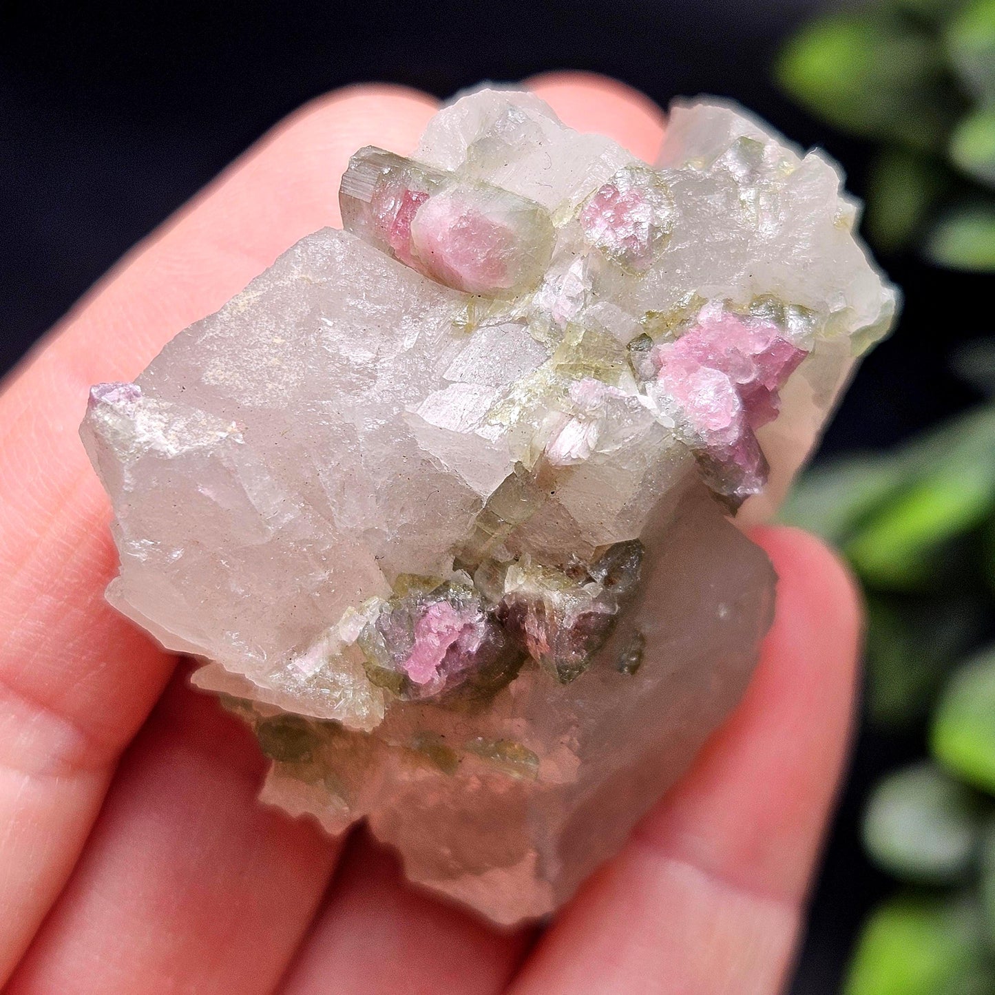 Watermelon Tourmaline on Quartz 50.28g