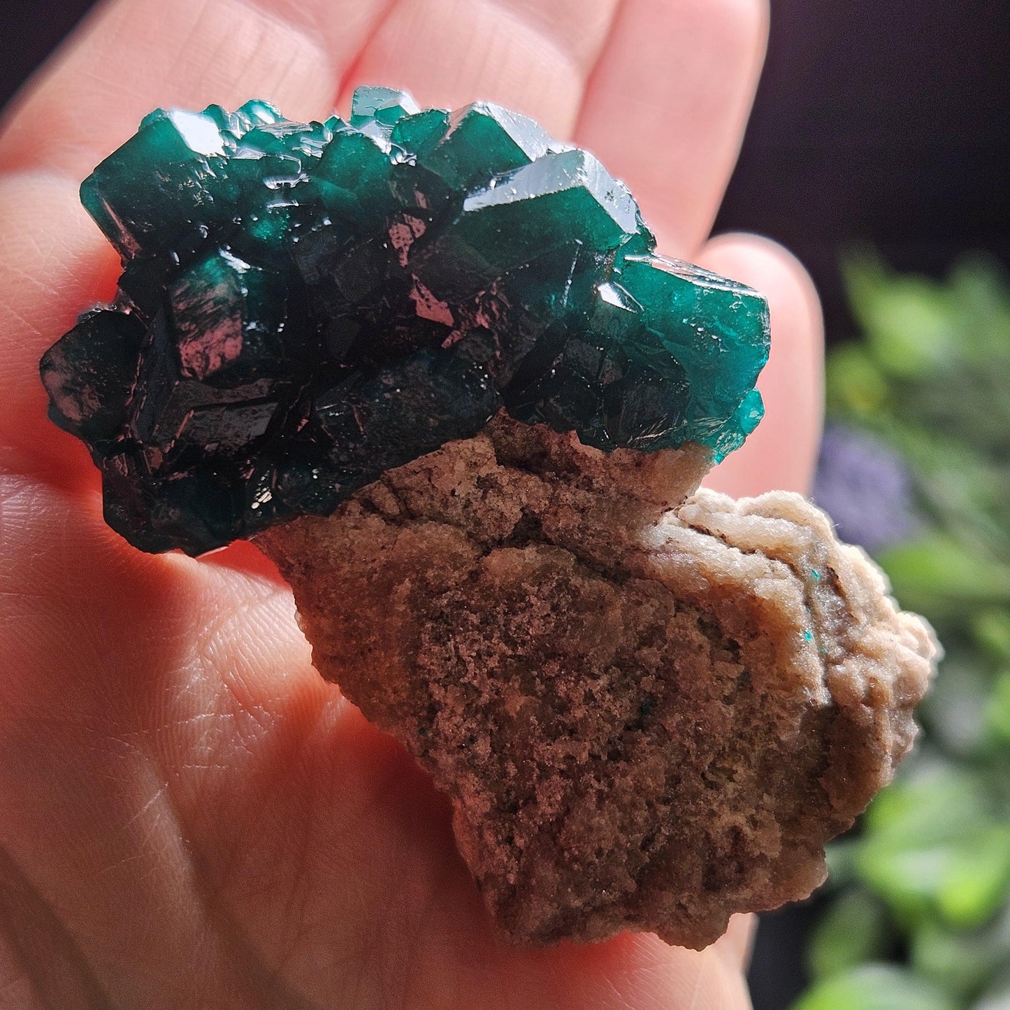 Dioptase Specimen from Congo 48.57g