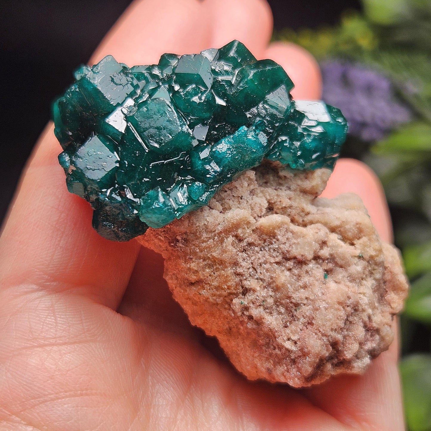 Dioptase Specimen from Congo 48.57g