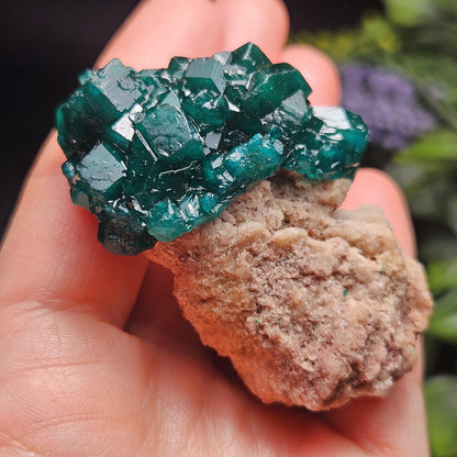 Dioptase Specimen from Congo 48.57g