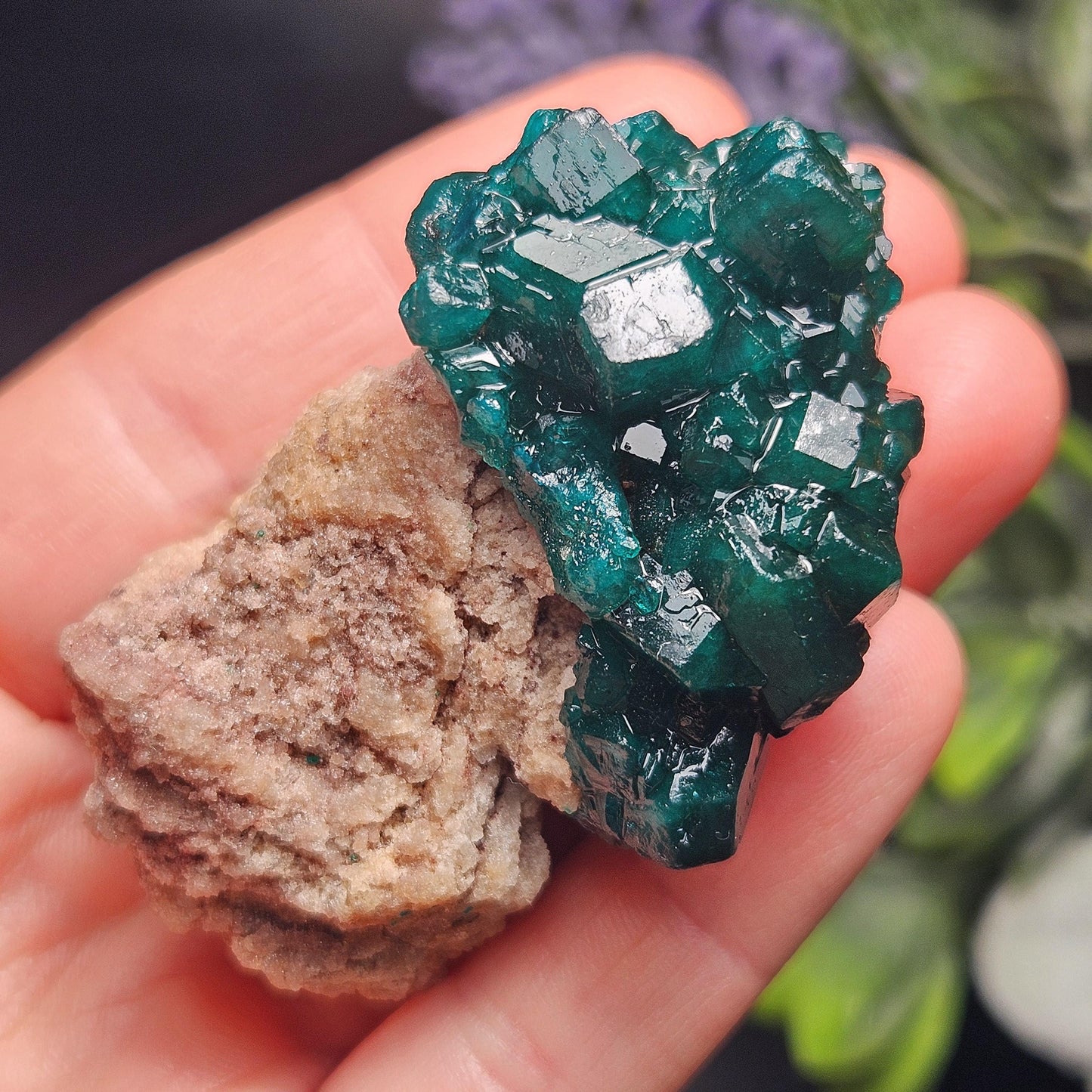 Dioptase Specimen from Congo 48.57g