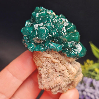 Dioptase Specimen from Congo 48.57g