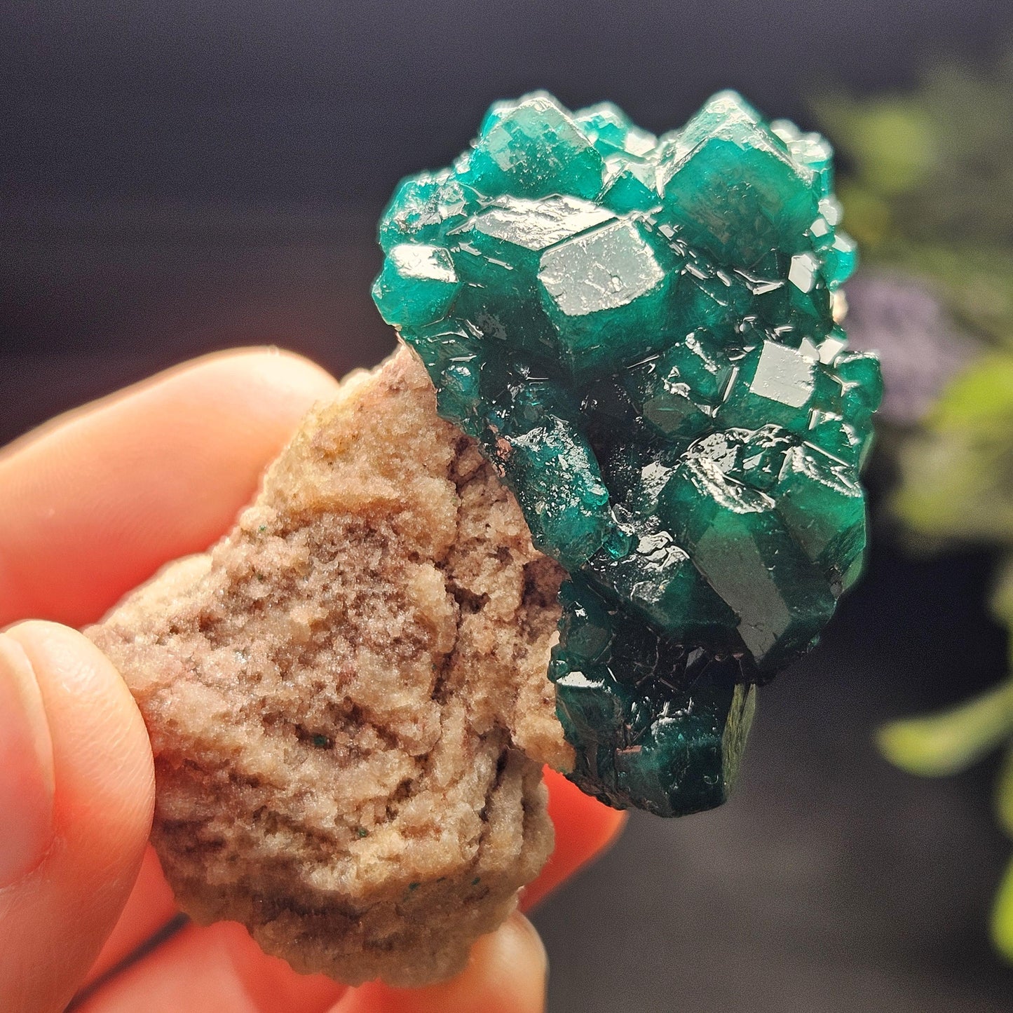 Dioptase Specimen from Congo 48.57g