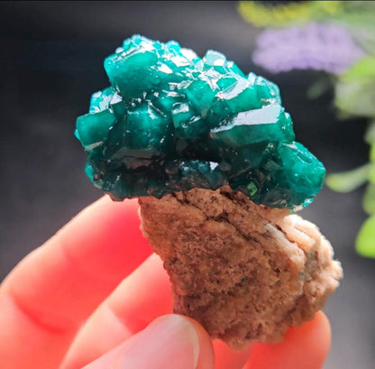 Dioptase Specimen from Congo 48.57g